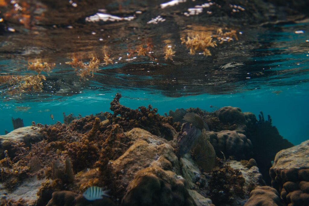 ブルーホールはサンゴ礁が美しく、ダイビングスポットとしても人気が高い場所
