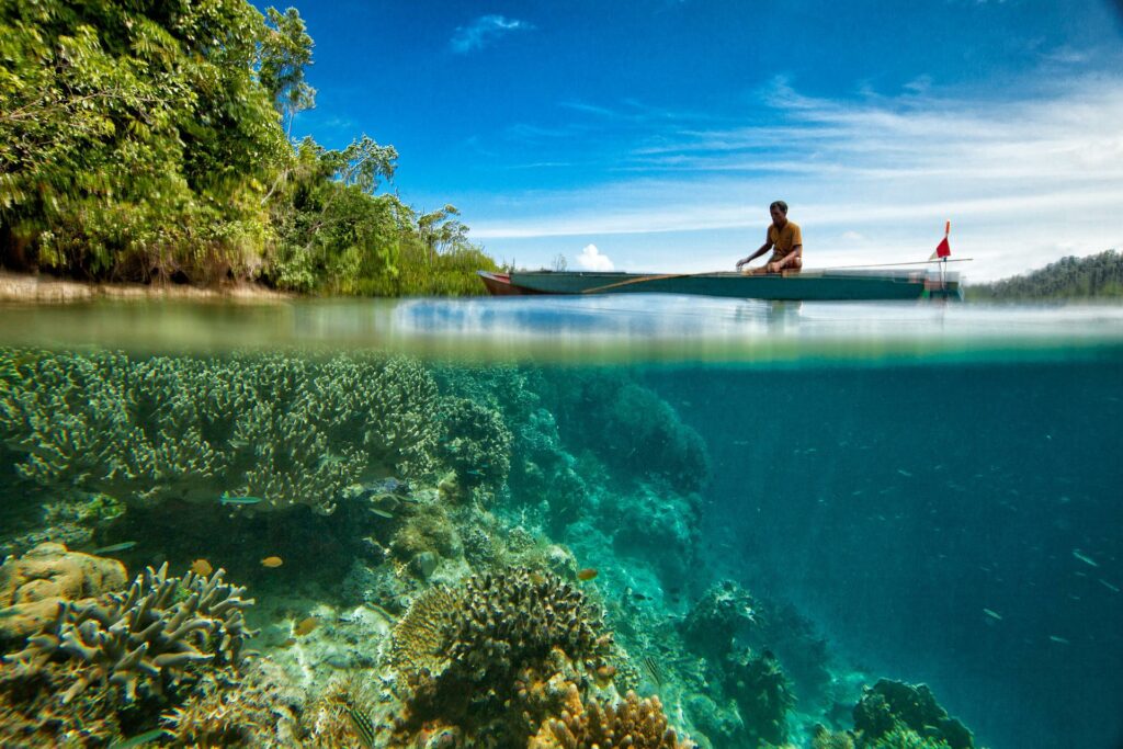 ベリーズの海の透明度は50メートル以上で、約400種類ものサンゴが生息
